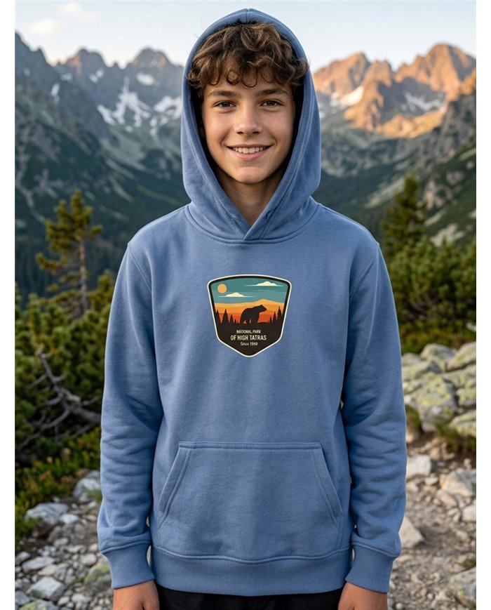 TATLAND BOYS HOODIE - NATIONAL PARK