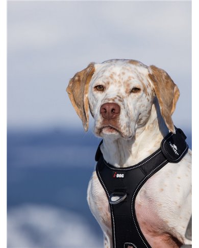 RAIDLIGHT I-DOG DOG HARNESS